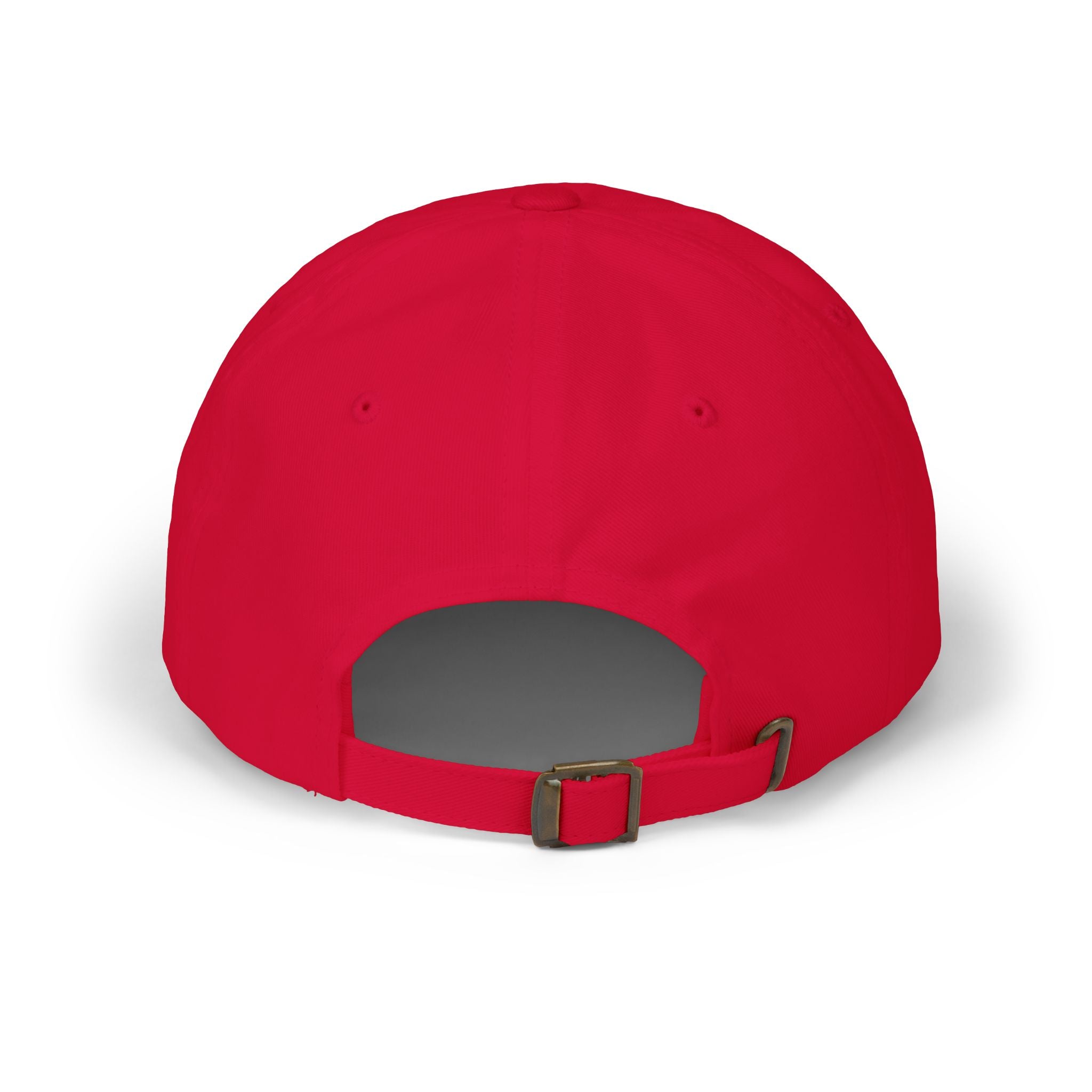 THE MAKE ALIENS GREAT AGAIN DAD HAT