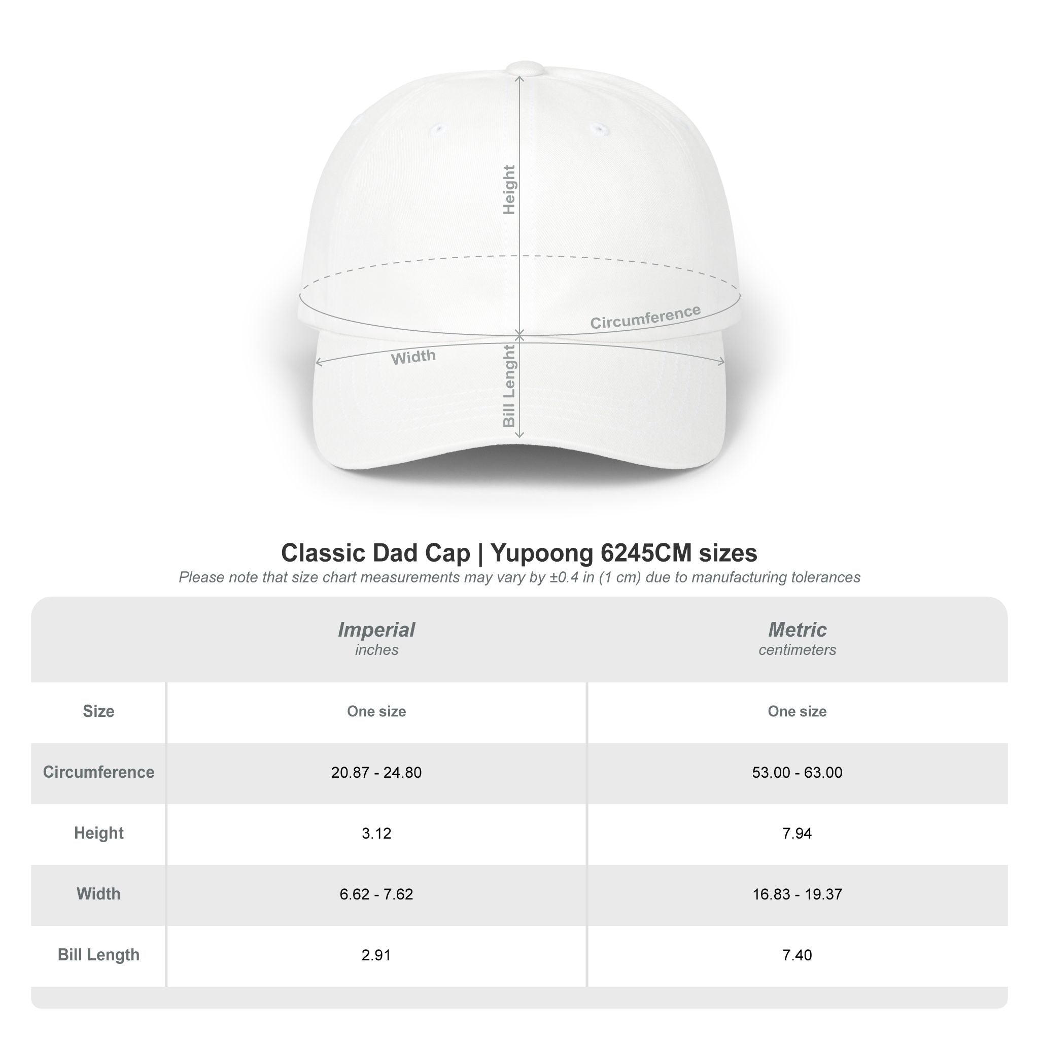 THE MAKE ALIENS GREAT AGAIN DAD HAT